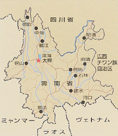 大理周辺地図